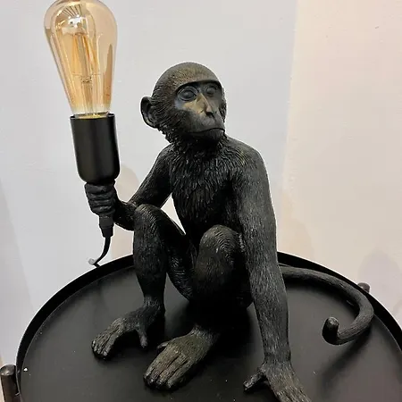 Daire Gatu Premium La Pepa Cadiz